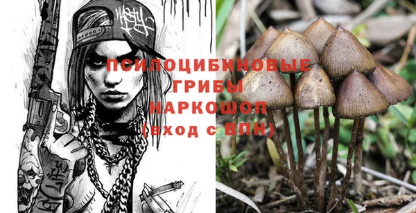 соль ск Абаза