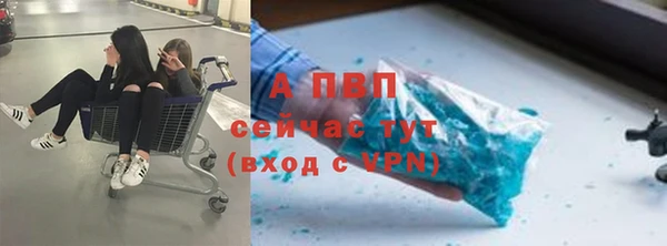 соль ск Алзамай