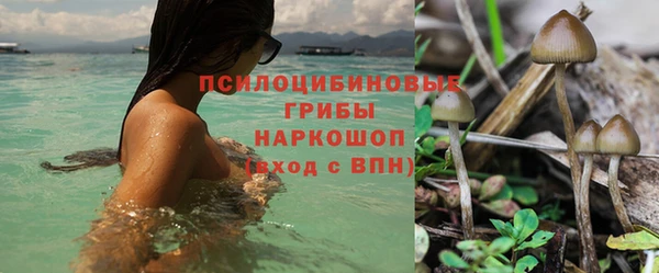 твердый Алексеевка