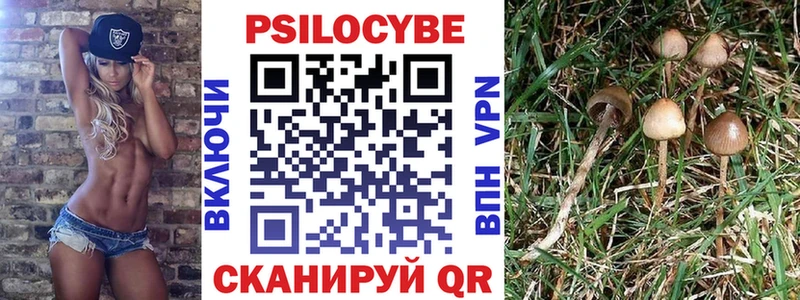 Галлюциногенные грибы Cubensis  Сураж 